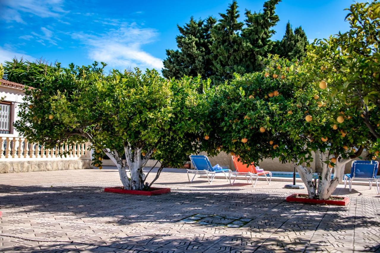 Villas Guzman Ismael Calpe Eksteriør bilde